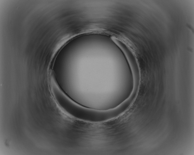 X0000093161430200709261027