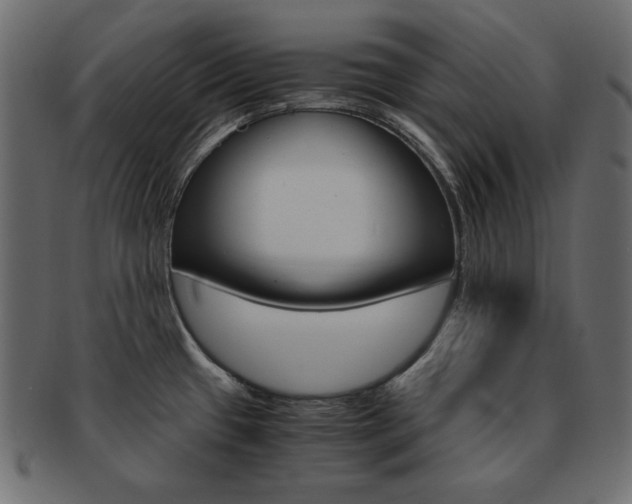 X0000093161433200709261027