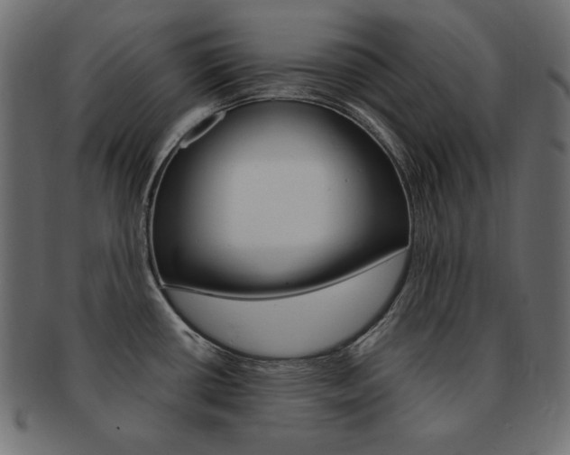 X0000093161434200709261027