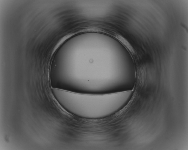 X0000093161436200709261027