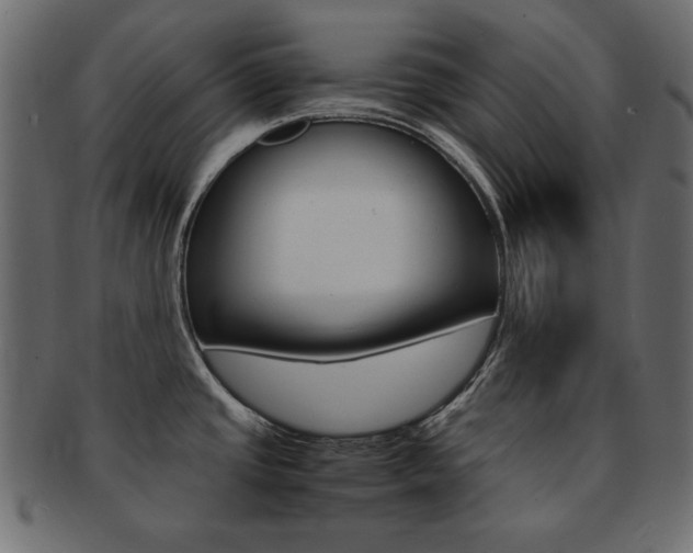 X0000093161437200709261027