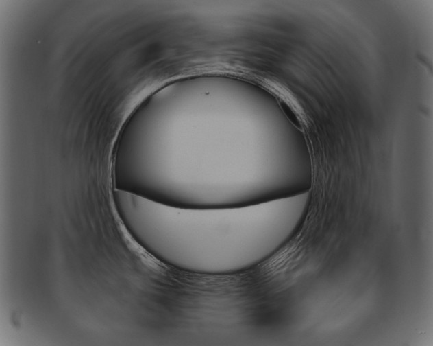X0000093161439200709261027