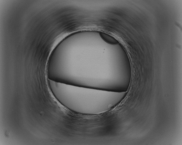 X0000093161440200709261027