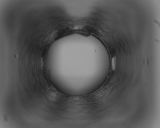 X0000093161443200709261026