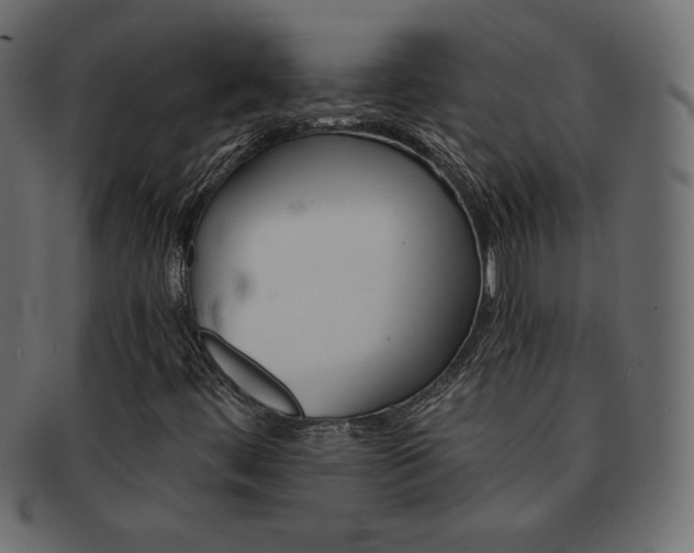 X0000093161444200709261026