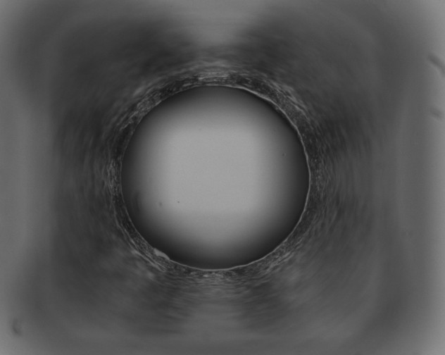 X0000093161445200709261026