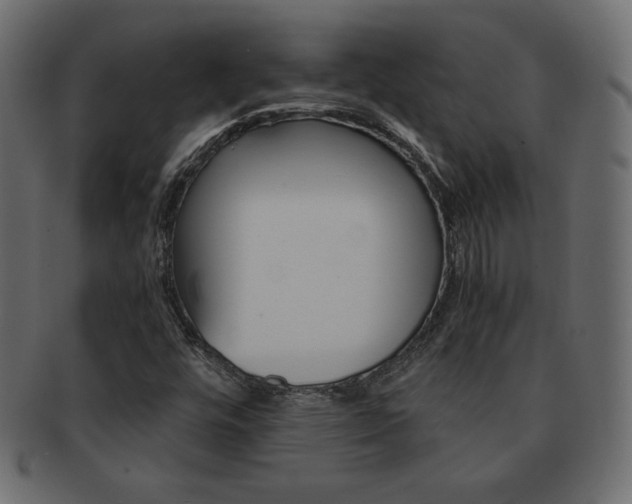 X0000093161448200709261026