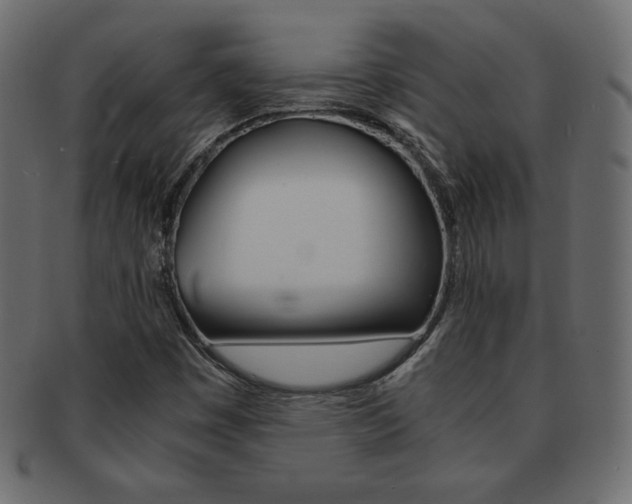 X0000093161449200709261026