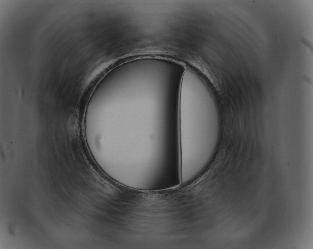 X0000093161452200709261026