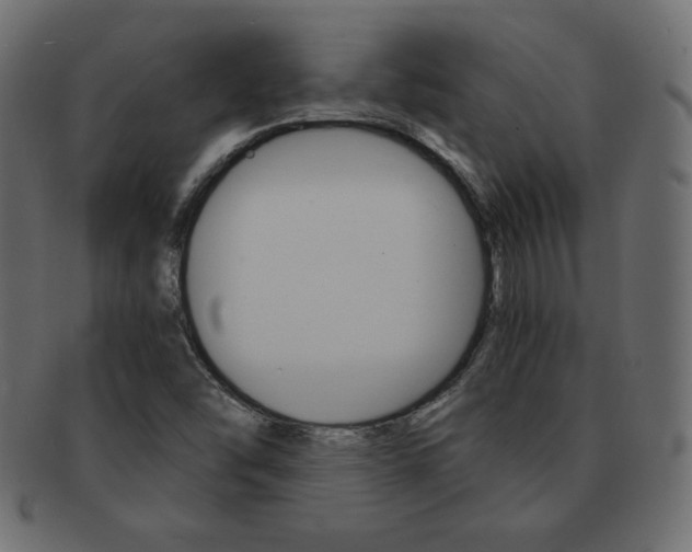 X0000093161454200709261026