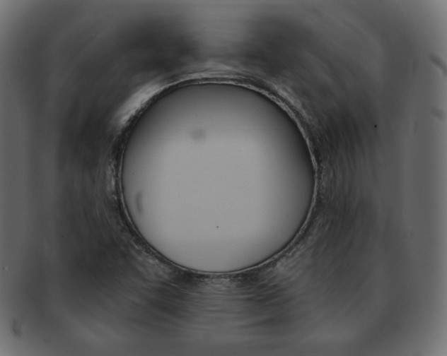 X0000093161455200709261026