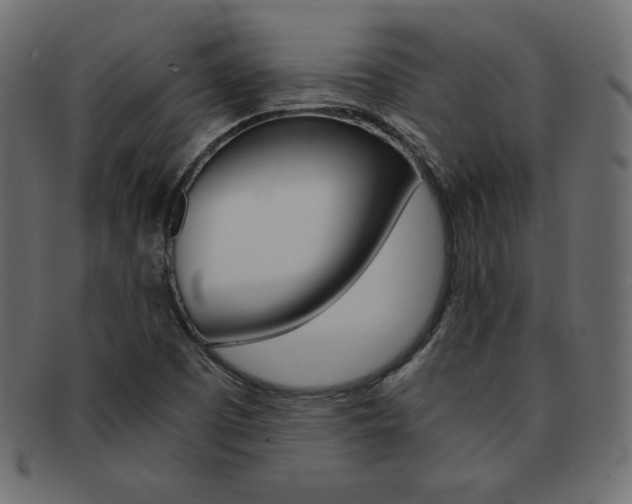 X0000093161457200709261026