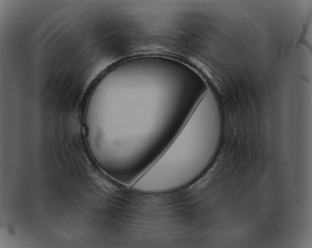 X0000093161458200709261026