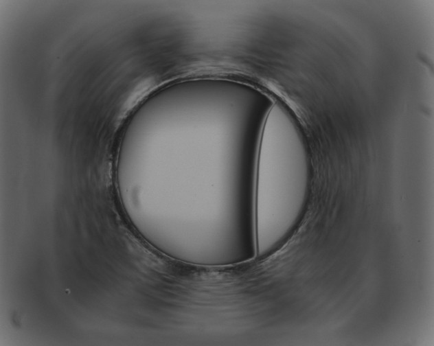X0000093161459200709261026