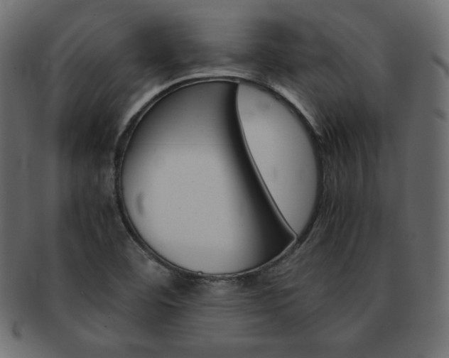 X0000093161460200709261026