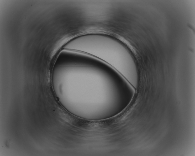 X0000093161461200709261026