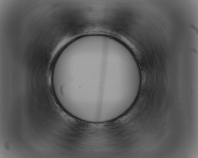 X0000093161462200709261026