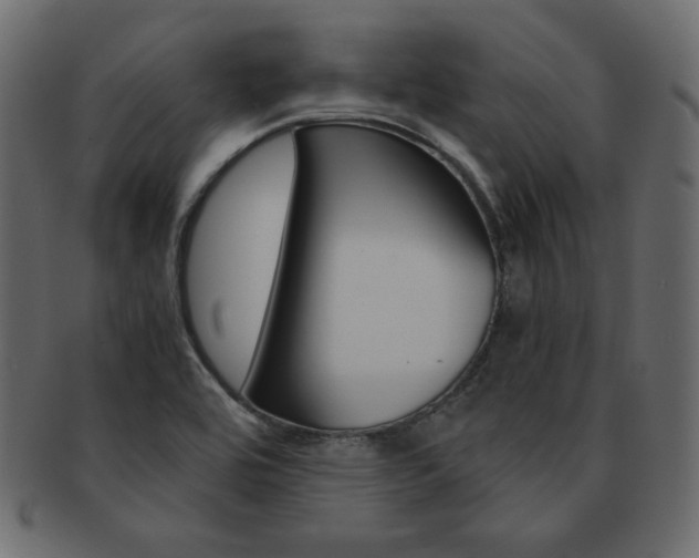 X0000093161464200709261026