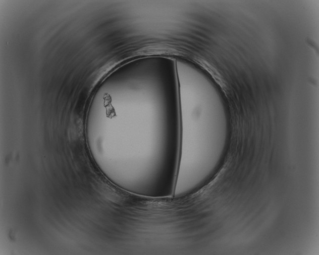 X0000093161465200709261026