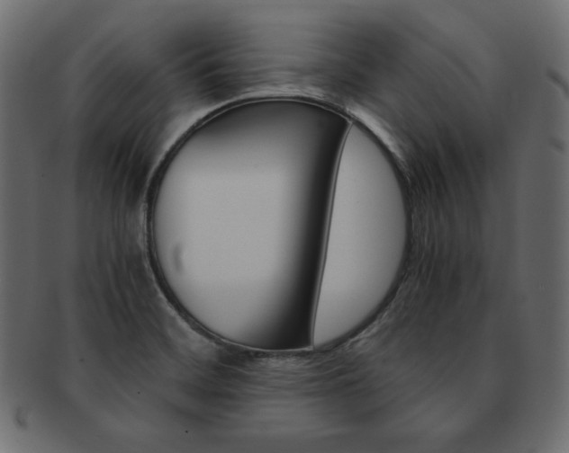 X0000093161468200709261026