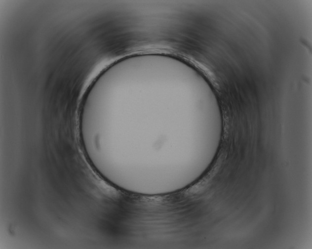 X0000093161470200709261026