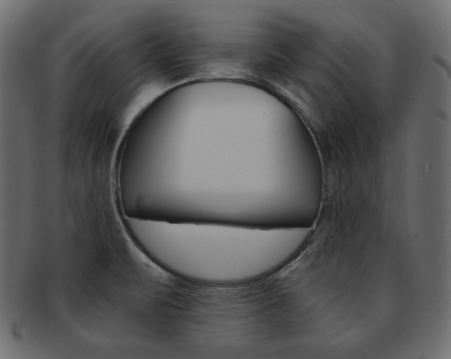 X0000093161471200709261026