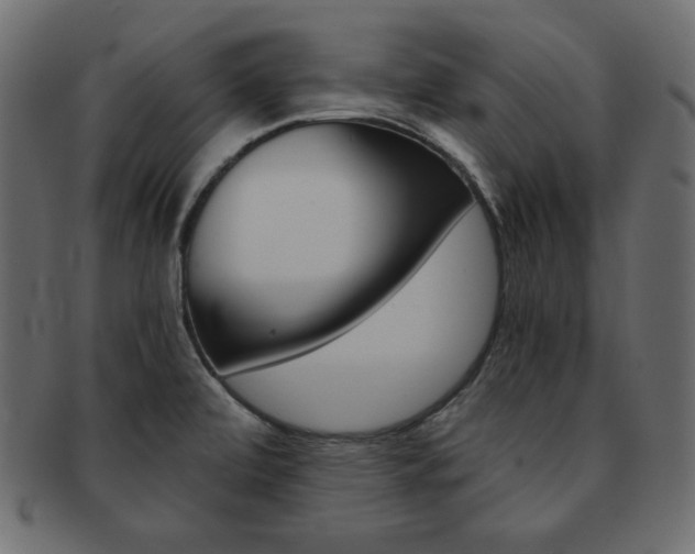 X0000093161472200709261026