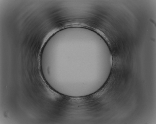 X0000093161474200709261026