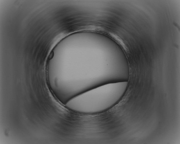 X0000093161475200709261026