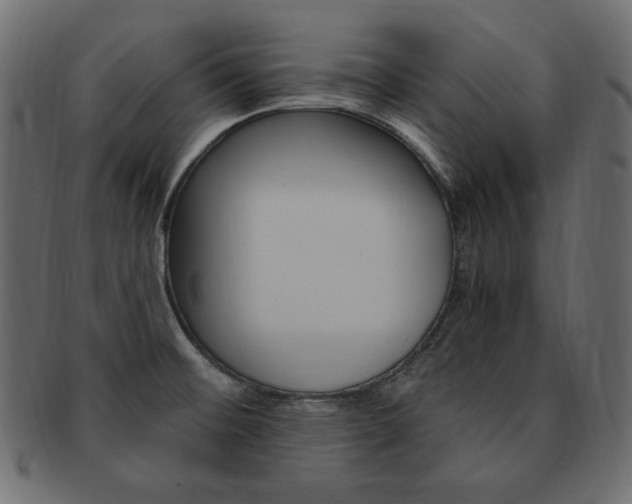 X0000093161476200709261026
