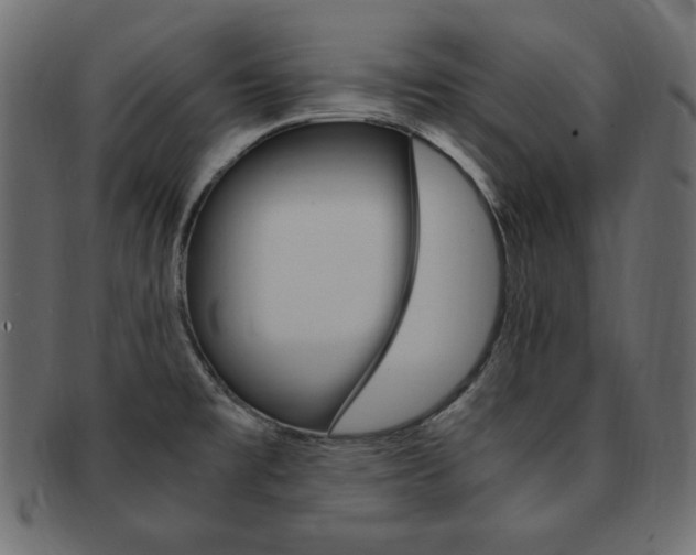 X0000093161477200709261026