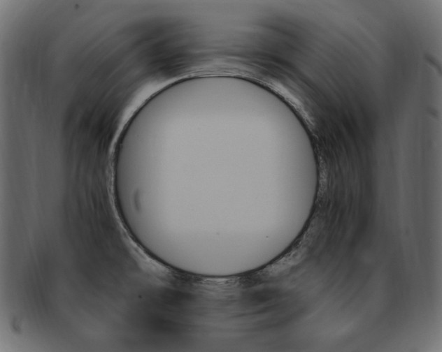 X0000093161478200709261026