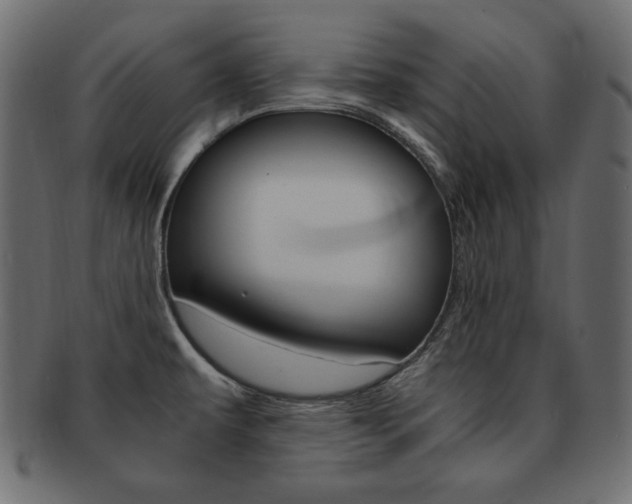 X0000093161479200709261026