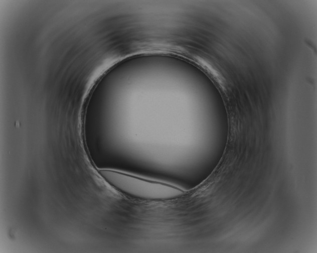 X0000093161480200709261026