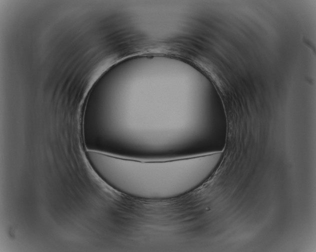 X0000093161483200709261026