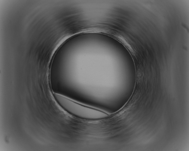 X0000093161484200709261026