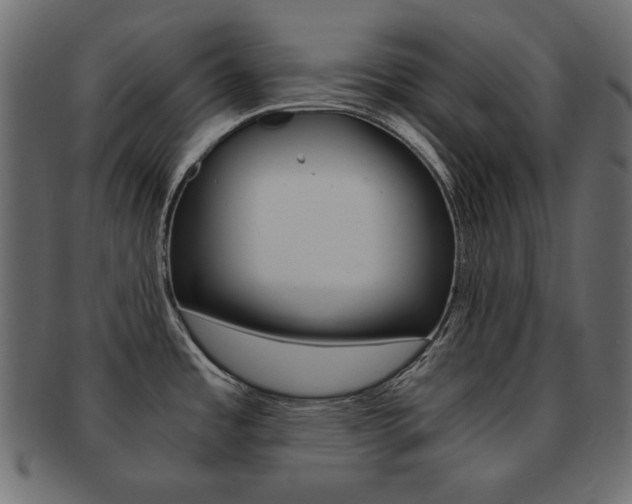 X0000093161485200709261026