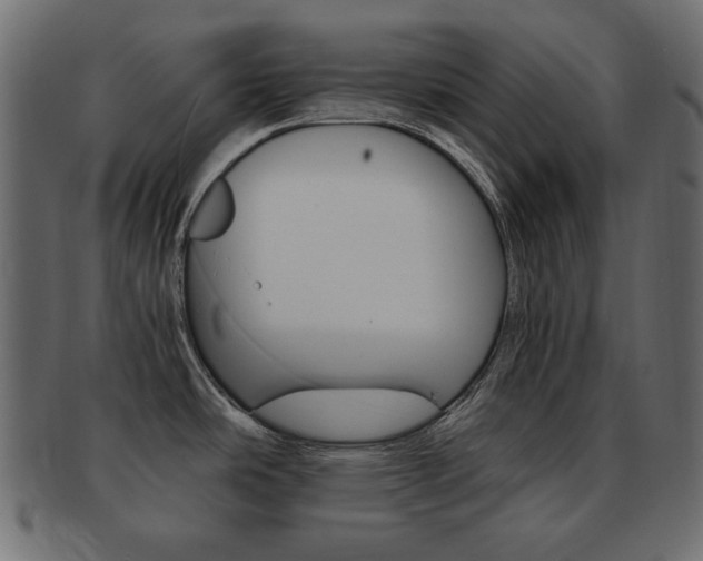 X0000093161486200709261026