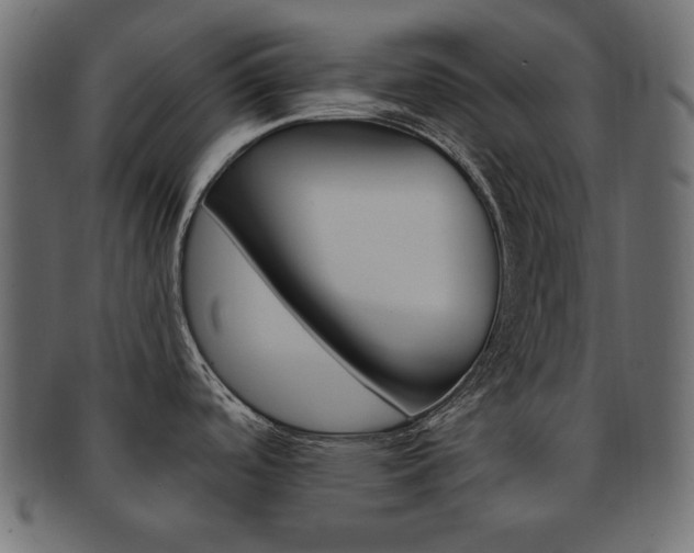 X0000093161488200709261026