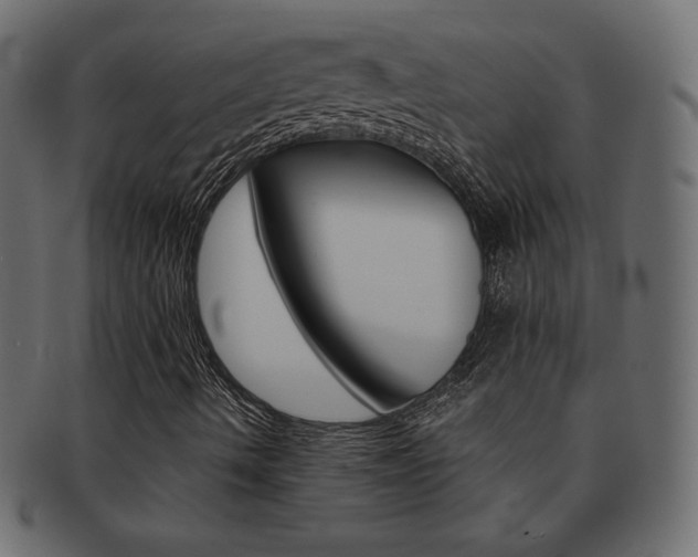 X0000093161490200709261025