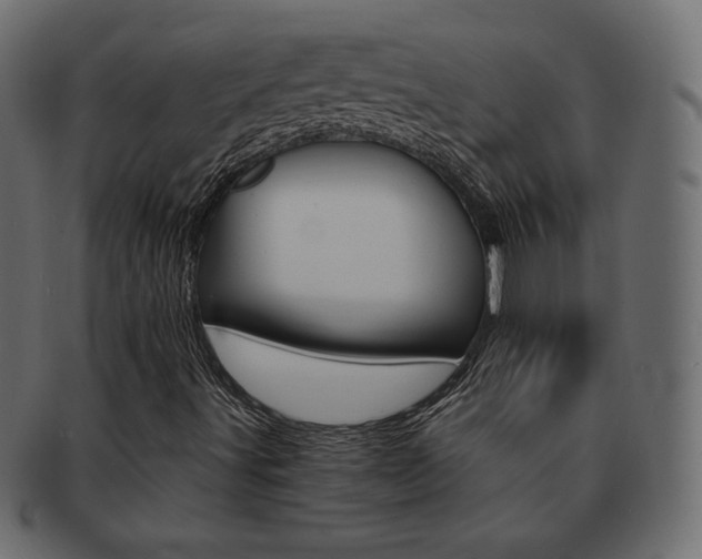 X0000093161491200709261025