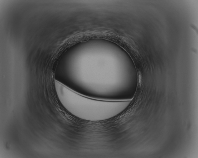 X0000093161492200709261025