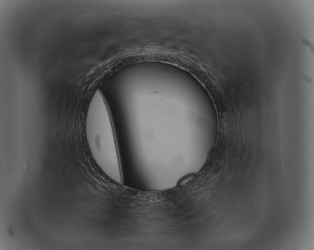 X0000093161493200709261025