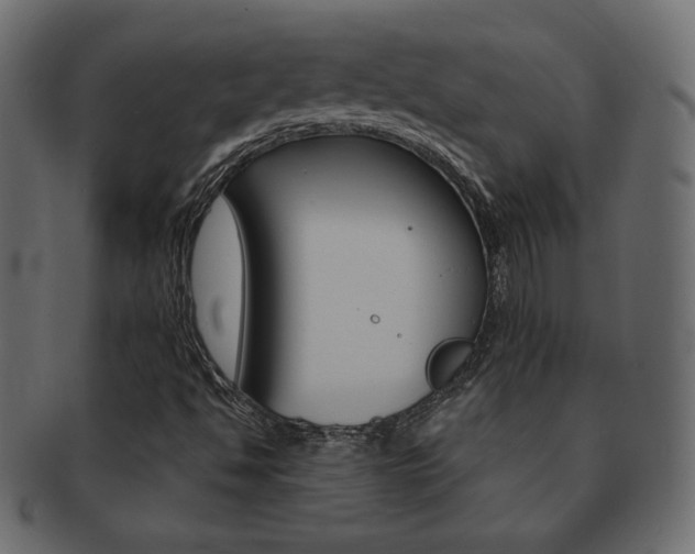 X0000093161494200709261025