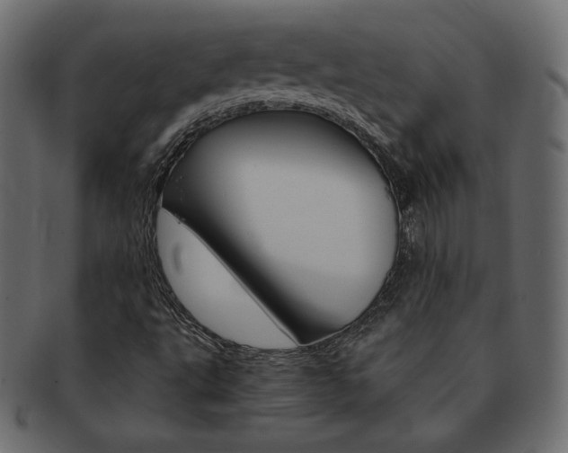 X0000093161495200709261025