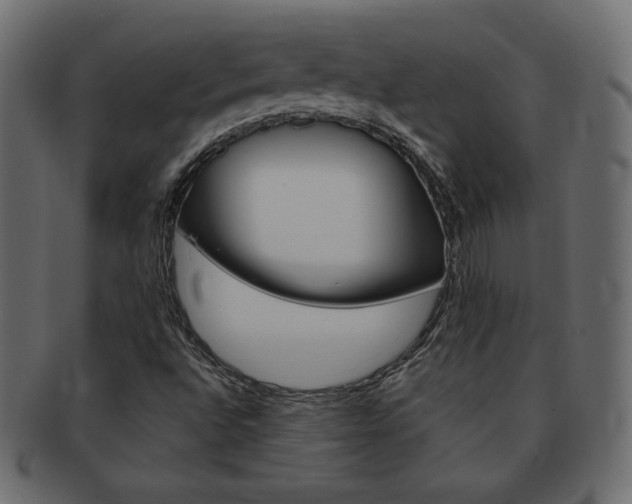 X0000093161496200709261025