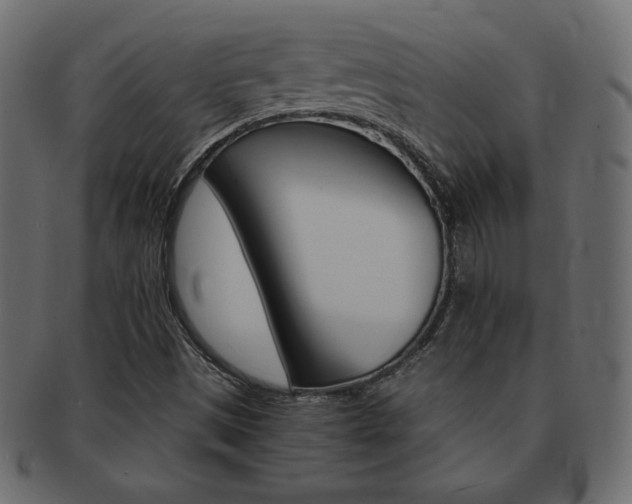 X0000093161497200709261025