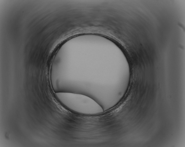 X0000093161498200709261025