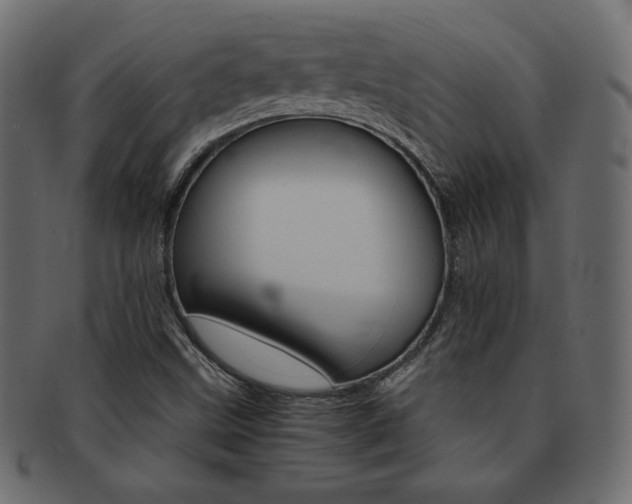 X0000093161499200709261025