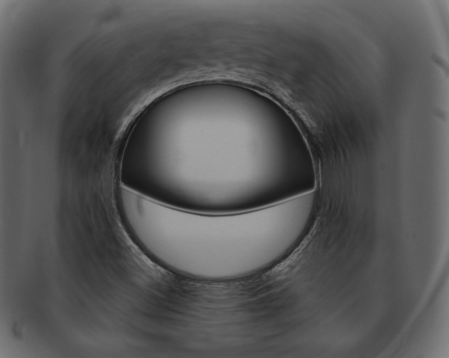X0000093161500200709261025